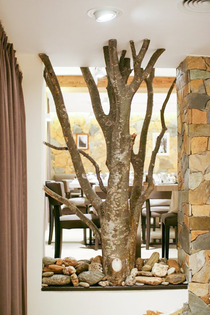 hotel-victor-rialp-7 hotel-victor-rialp-7